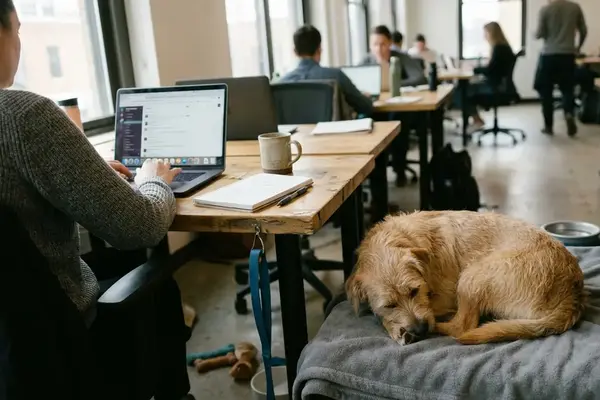 How to Build a First-Week Home Routine That Helps Your New Dog Feel Safe